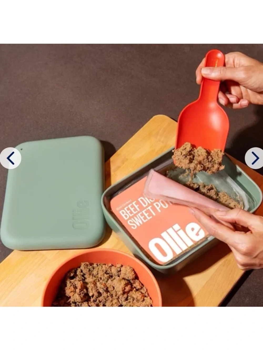 NEW Ollie Green Silicone Pet Food Storage Container with Green Scoop